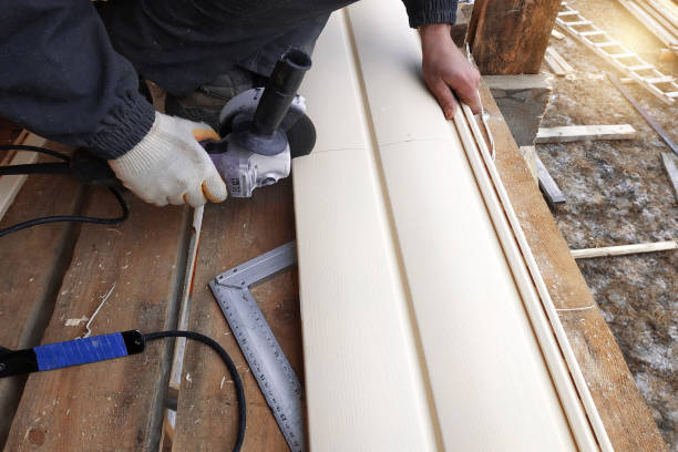 Best Custom Trim and Detailing for Siding  in Lyons, GA